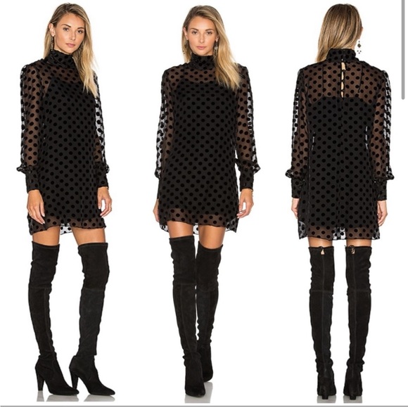 Stone Cold Fox Sheer Velvet Polka Dot Dress - Picture 2 of 16